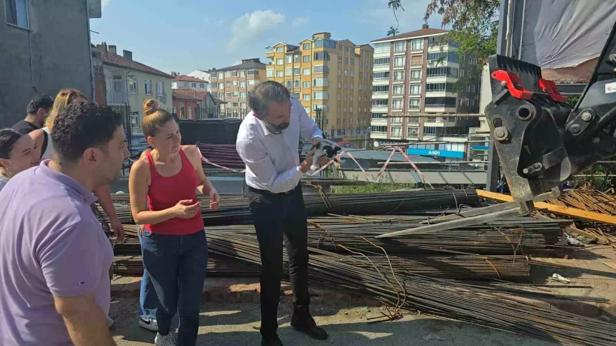 zonguldakta-yavru-kedi-insaat-demirlerinden-kurtarildi-qxyib34P.jpg