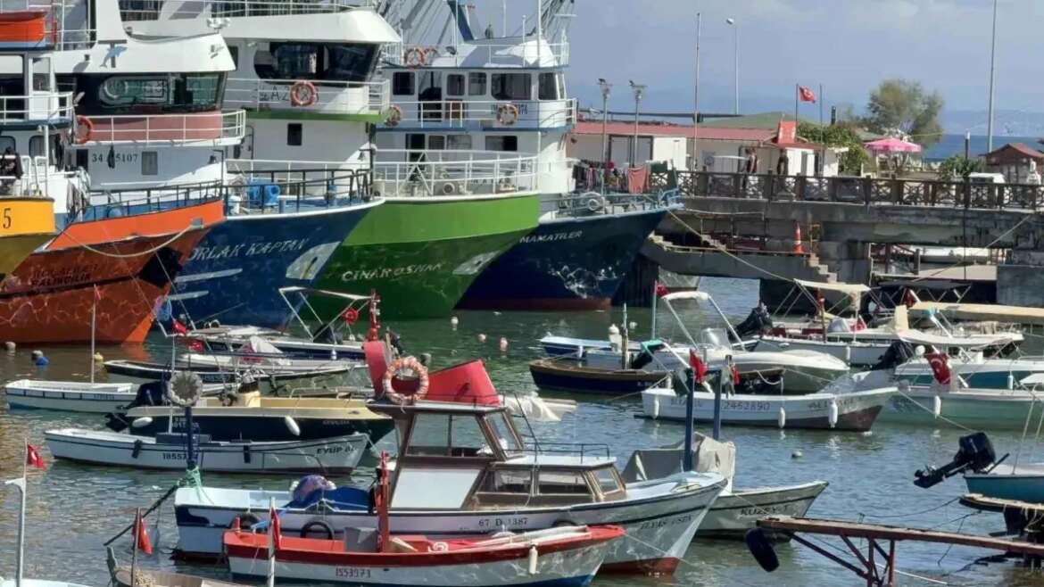 akcakoca-balikcilari-yeni-doneme-umutsuz-basladi-vViXZIjE.jpg
