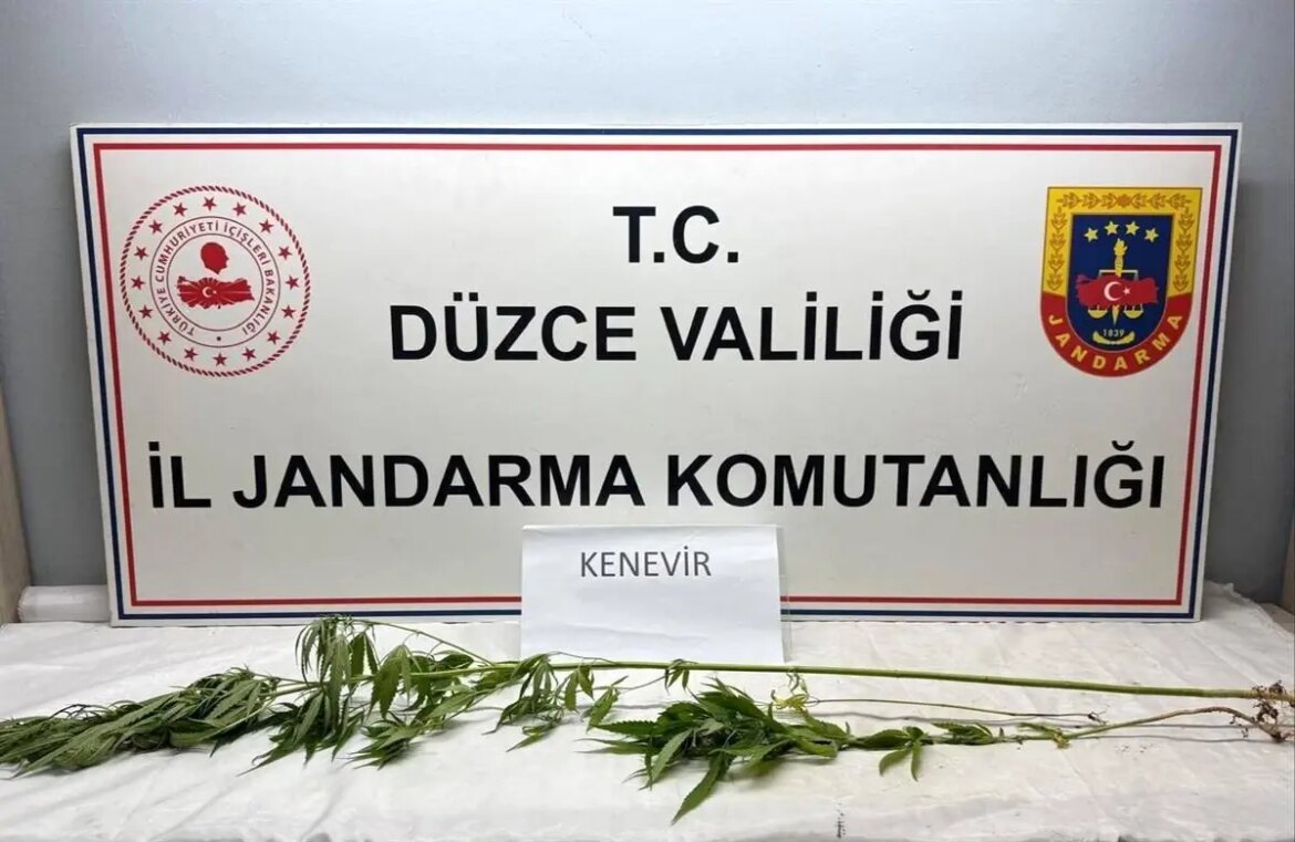 duzcede-uyusturucu-operasyonu-kubar-esrar-ve-kenevir-ele-gecirildi-SaCIf6qT.jpg